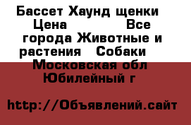 Бассет Хаунд щенки › Цена ­ 20 000 - Все города Животные и растения » Собаки   . Московская обл.,Юбилейный г.